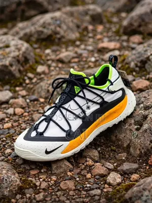 Nike ACG Terra Antarktik Sneakers