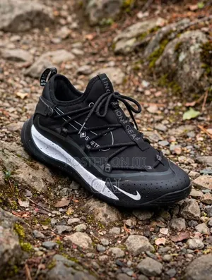 Nike ACG Terra Antarktik Sneakers