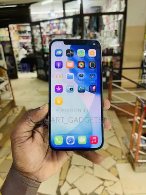 Apple iPhone 12 Pro Max 512 GB Gray