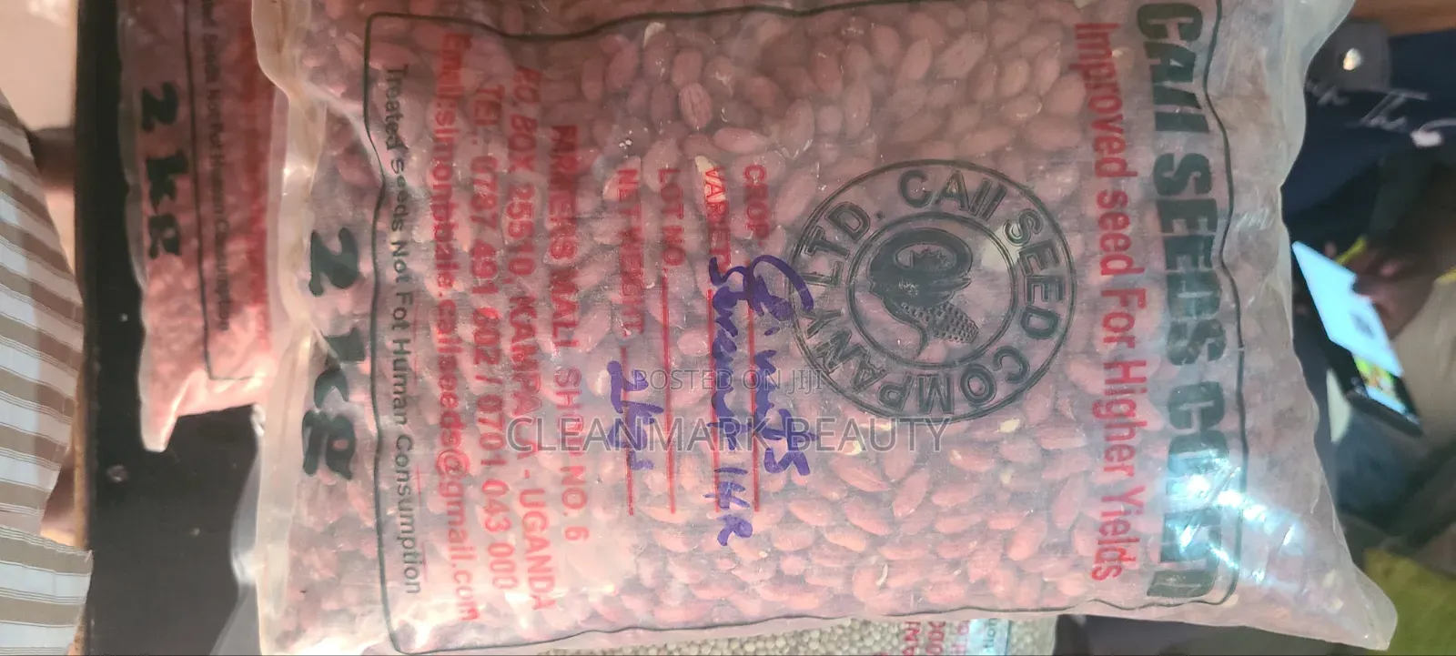 2kg G.nunts Seedings (Naro B 111