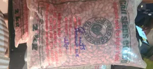 2kg G.nunts Seedings (Naro B 111