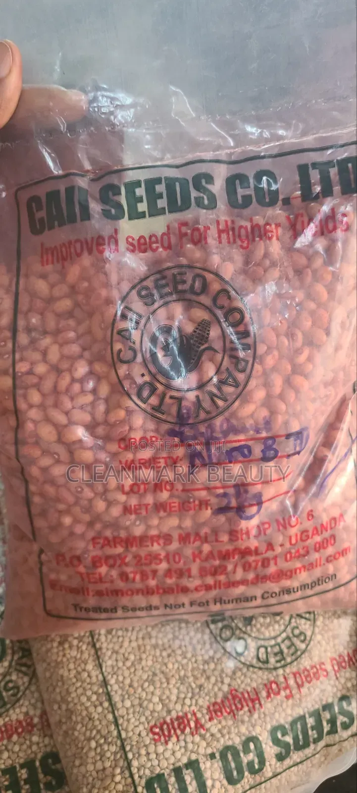 2kg G.nunts Seedings (Naro B 111