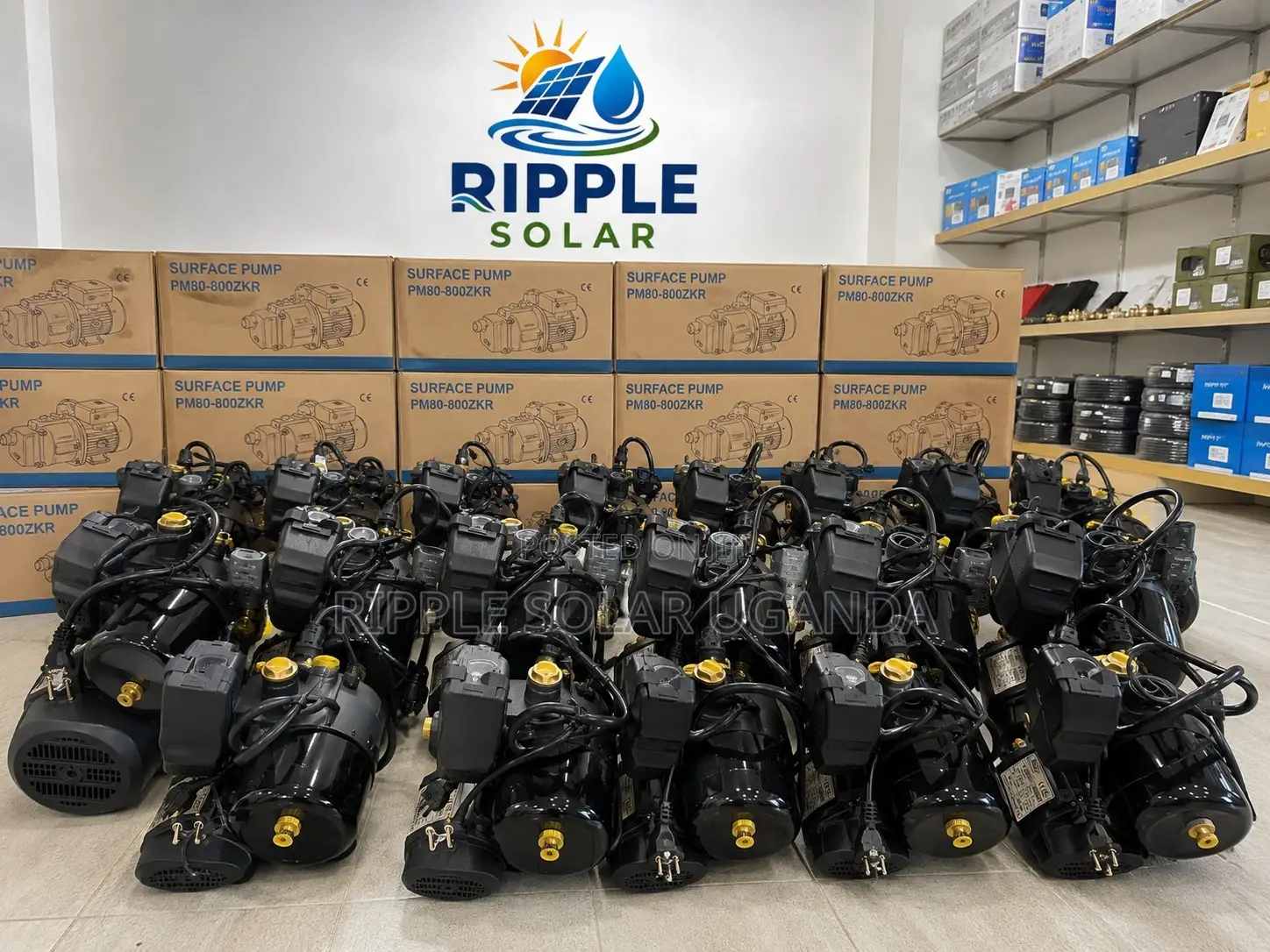800w AC Surface Water Pump 45m Head 3600l/H High Pressure Pump 220v