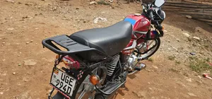 TVS HLX 125 2024 Red