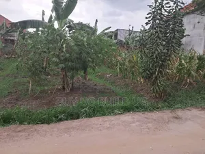 Money Lender Pressure!! 
Prime Plot 50ft by 100 Kasangati Kiti 28m Ugx