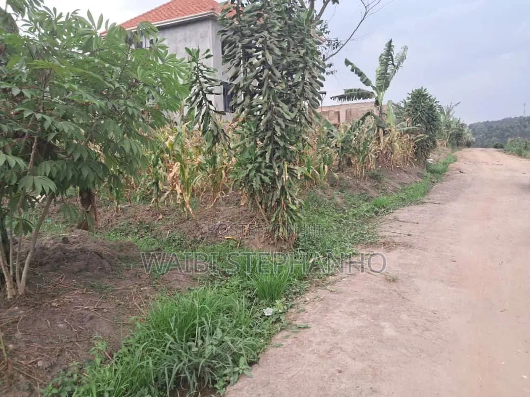 Money Lender Pressure!! 
Prime Plot Measuring 12 Decimals in Kasangati
