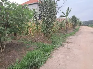 Money Lender Pressure!! 
Prime Plot Measuring 12 Decimals in Kasangati