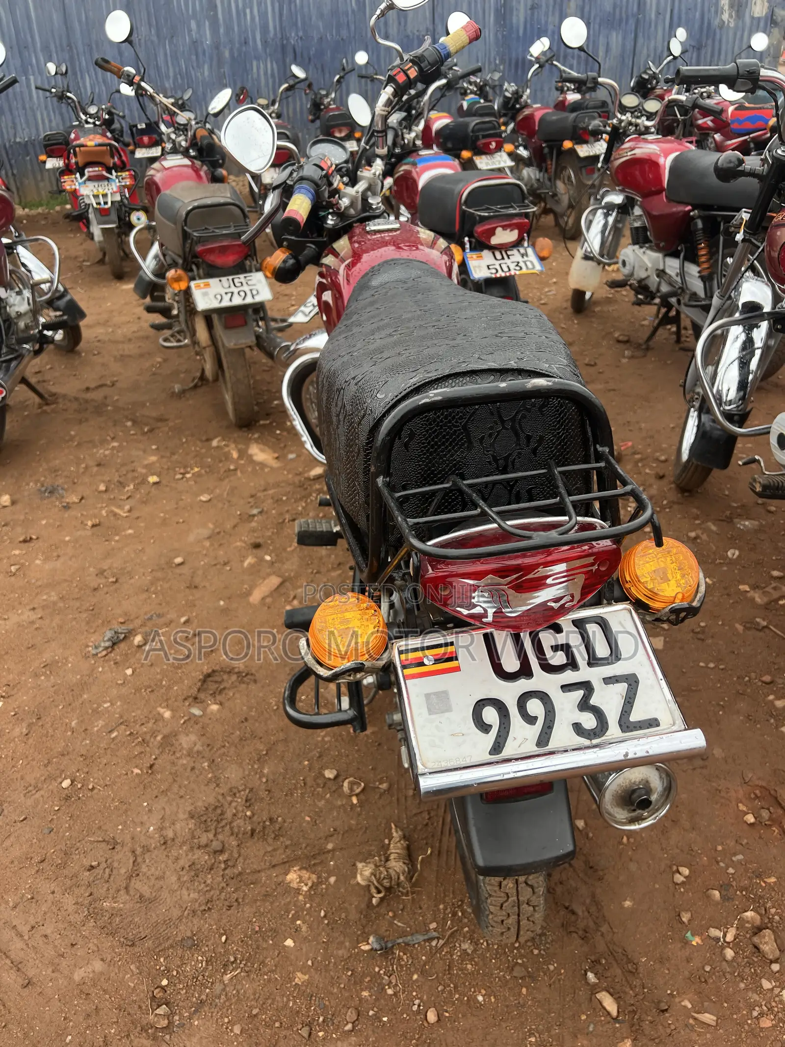 Bajaj Boxer 100 2024 Red