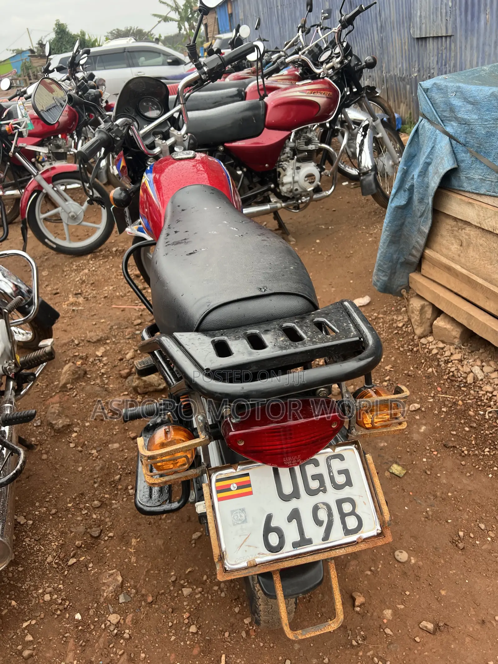 Bajaj CT 125X 2024 Red