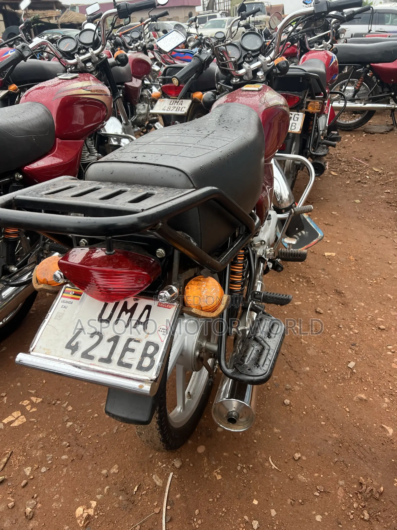 Bajaj Boxer 100 2026 Red