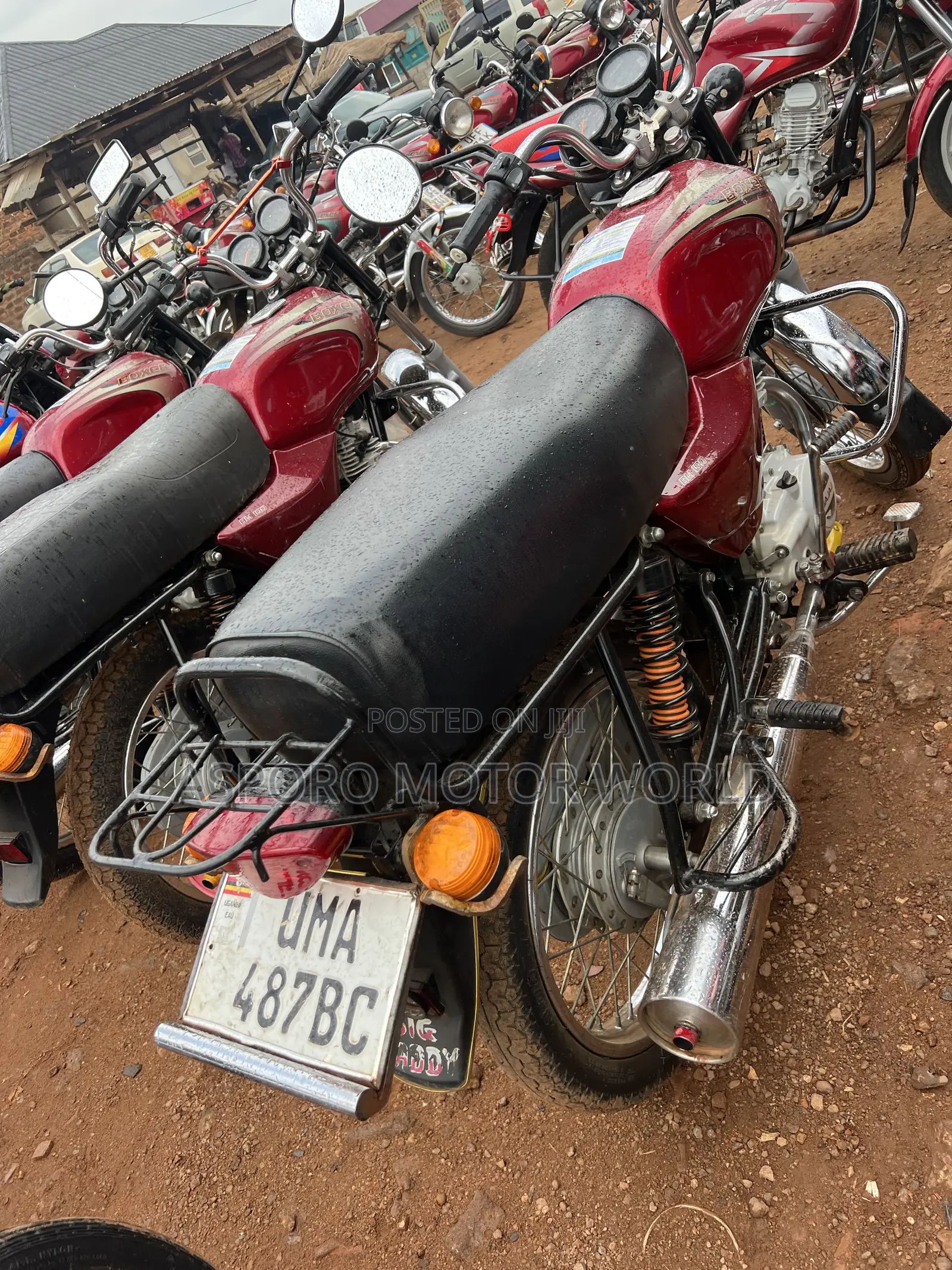 Bajaj Boxer 100 2025 Red
