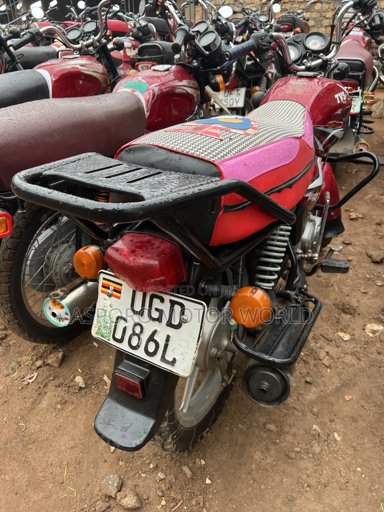 TVS HLX 125 2024 Red