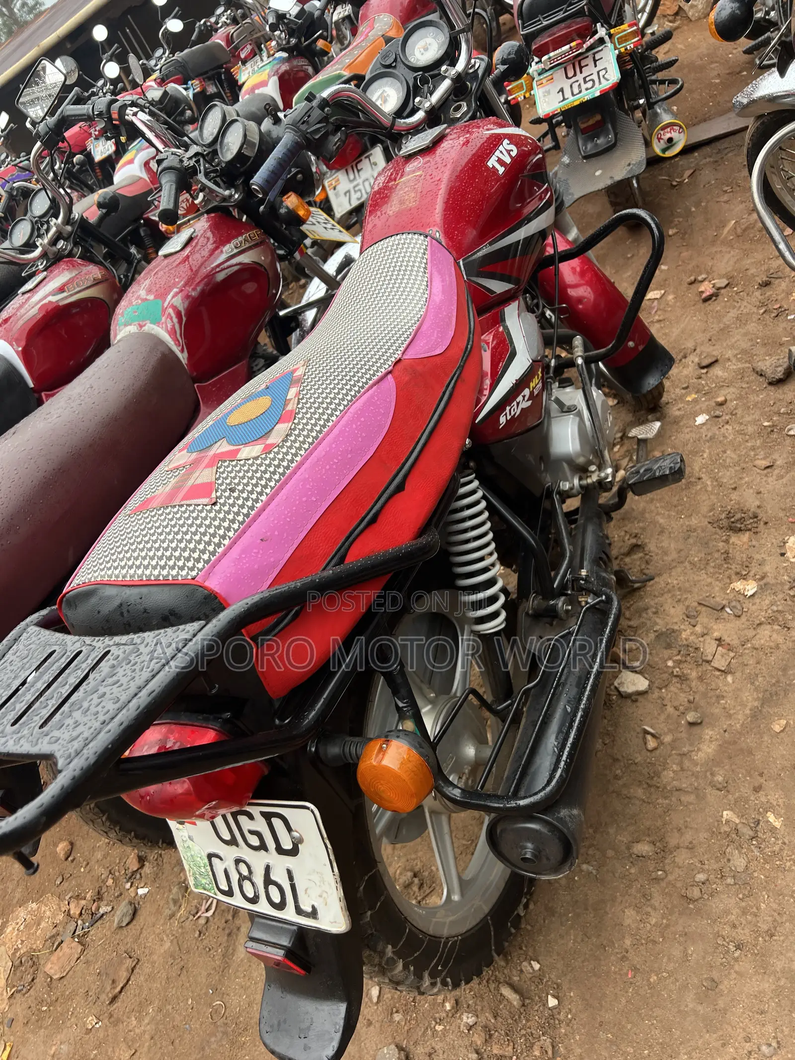 TVS HLX 125 2024 Red
