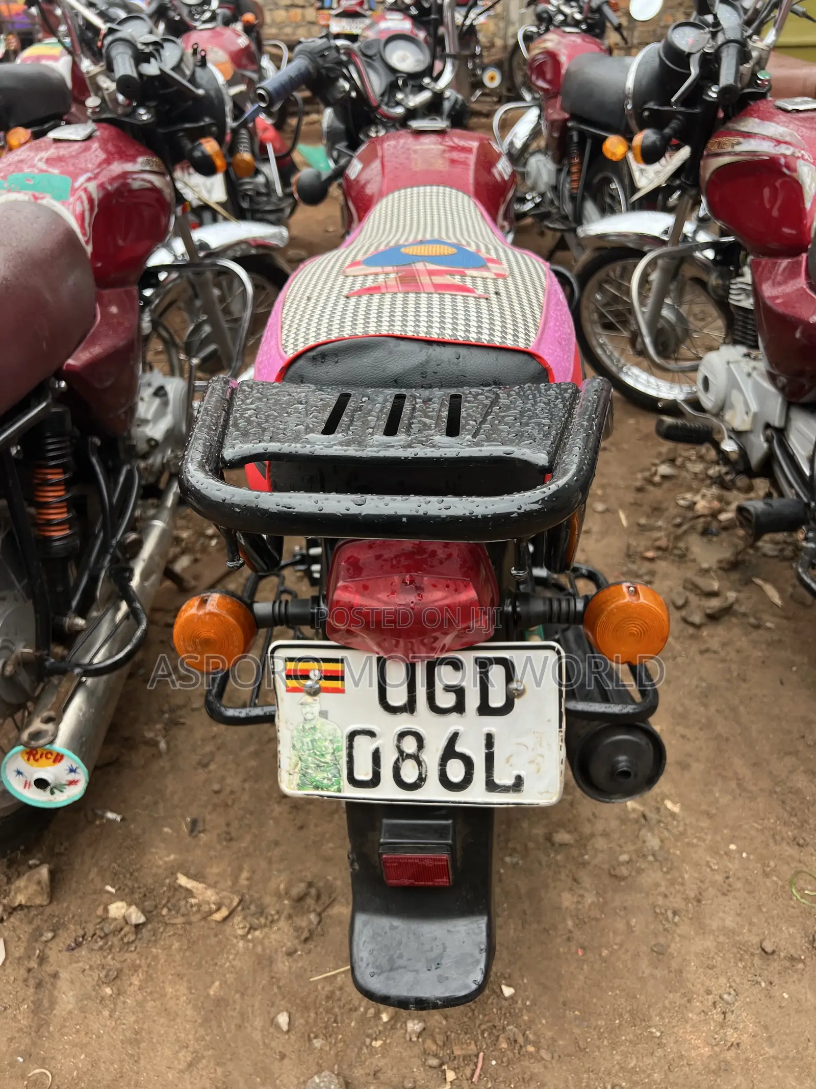 TVS HLX 125 2024 Red