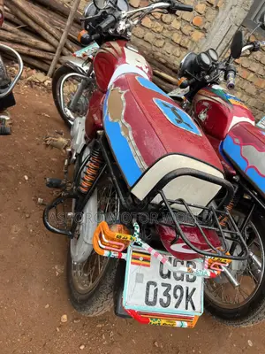 Bajaj Boxer 100 2024 Red