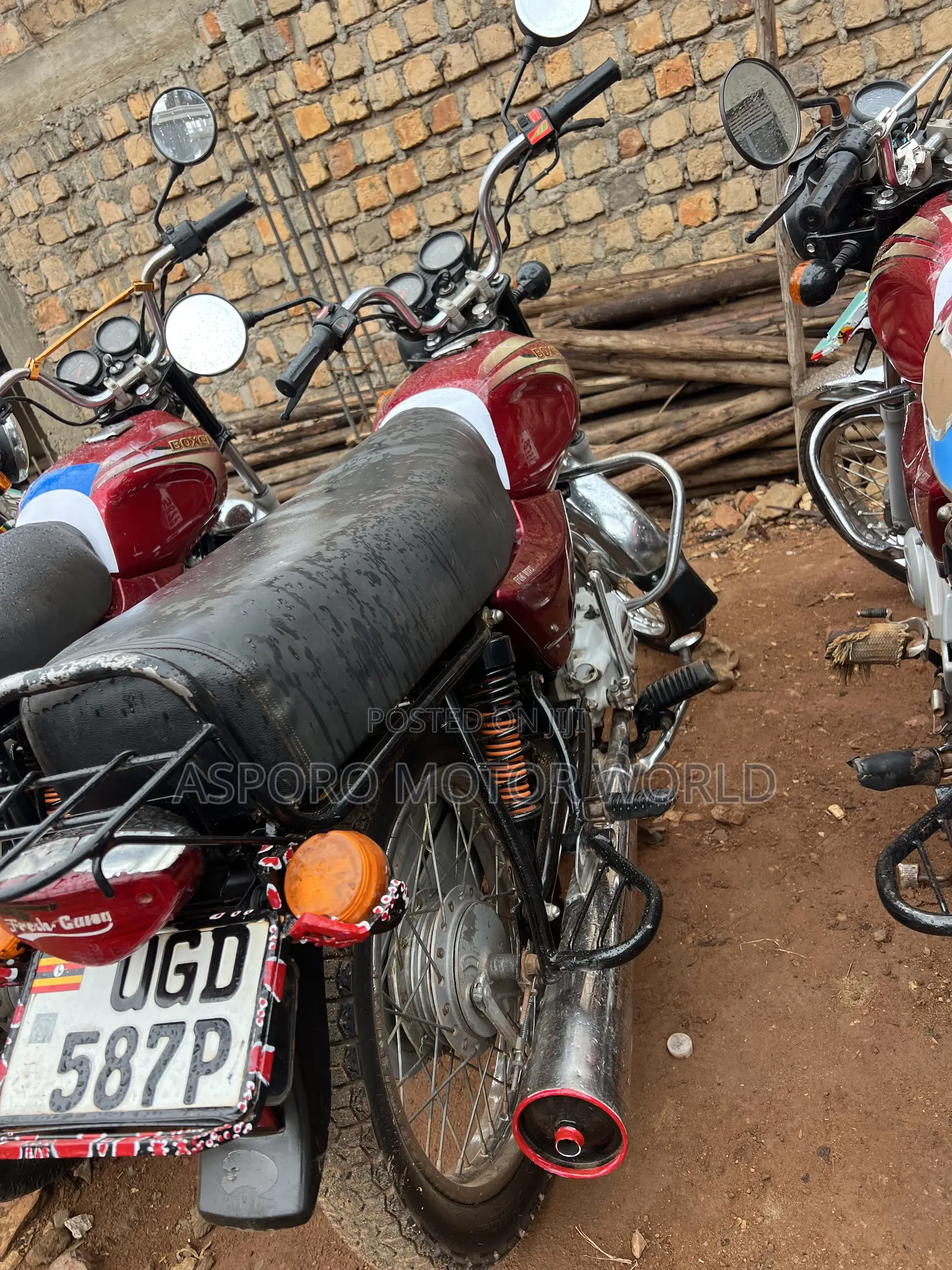 Bajaj Boxer 100 2024 Red