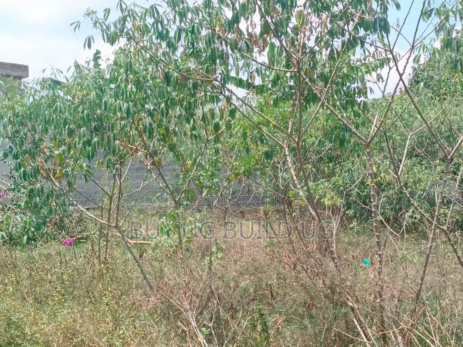 50ft by 100 Ft for Sale in Namugongo at 70m 
Land Title Available 