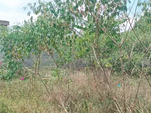 50ft by 100 Ft for Sale in Namugongo at 70m 
Land Title Available 