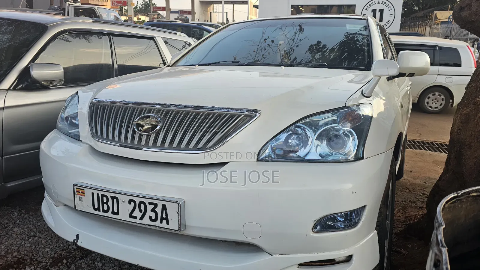 Toyota Harrier 2006 White