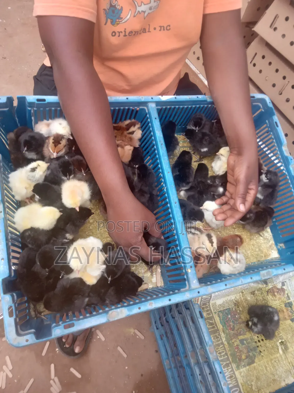Halal Agro Farm LTD
