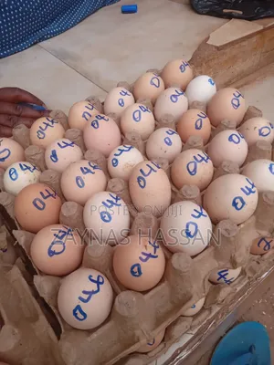 Halal Agro Farm LTD