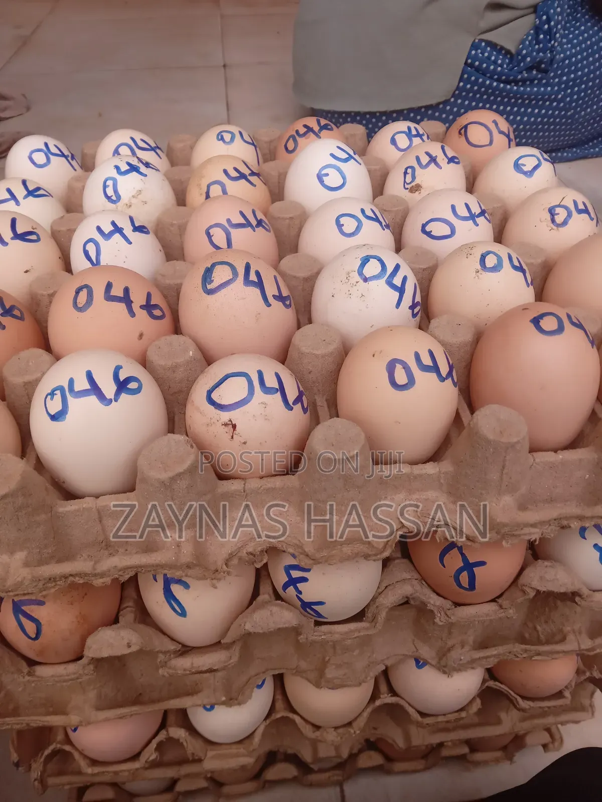 Halal Agro Farm LTD