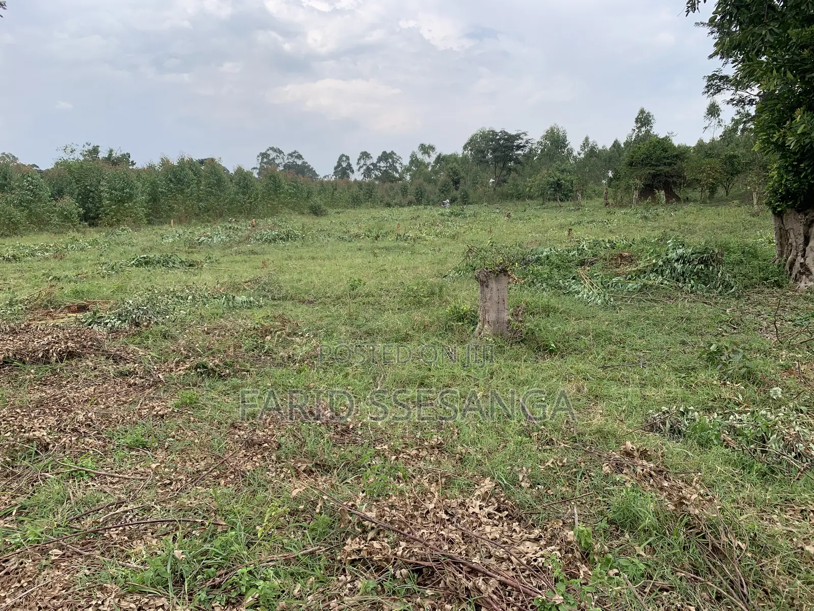Farm Land for Sale