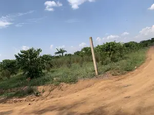 Farm Land for Sale