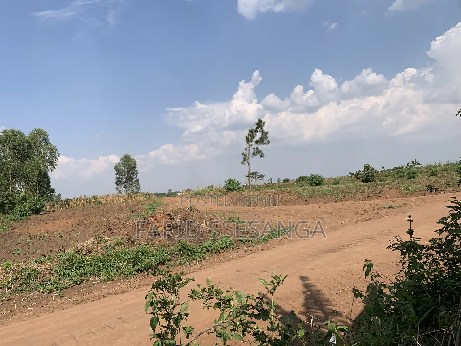 Farm Land for Sale