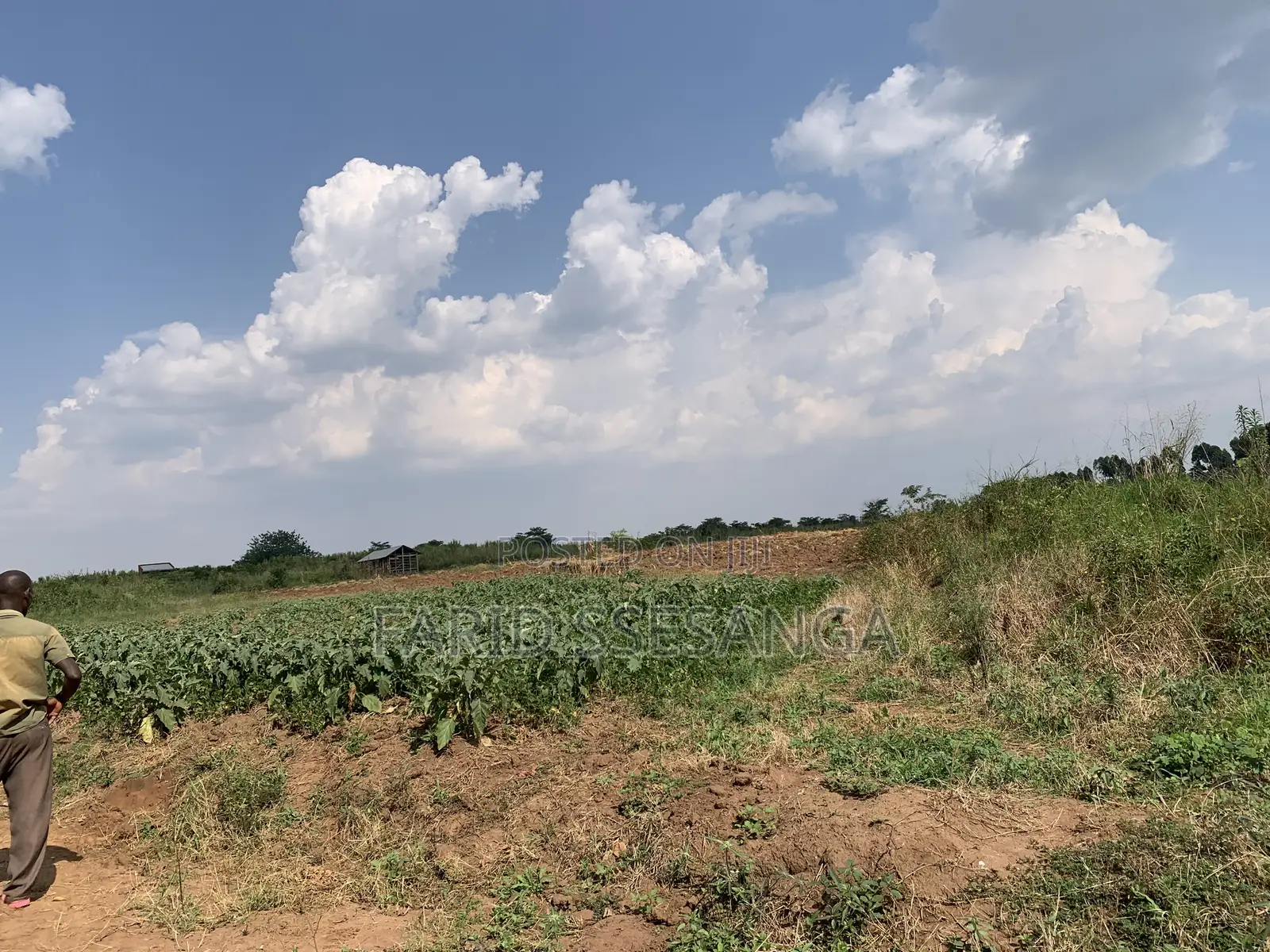 Farm Land for Sale