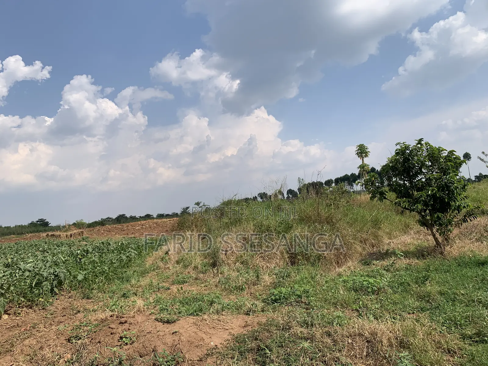 Farm Land for Sale
