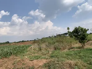 Farm Land for Sale
