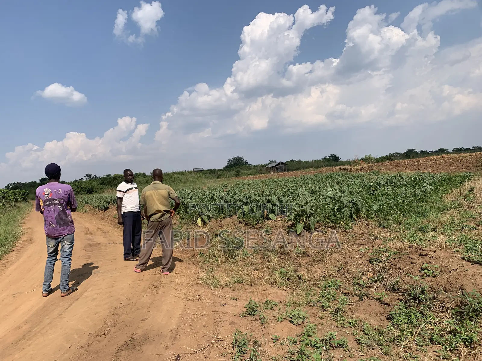 Farm Land for Sale