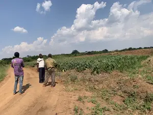 Farm Land for Sale