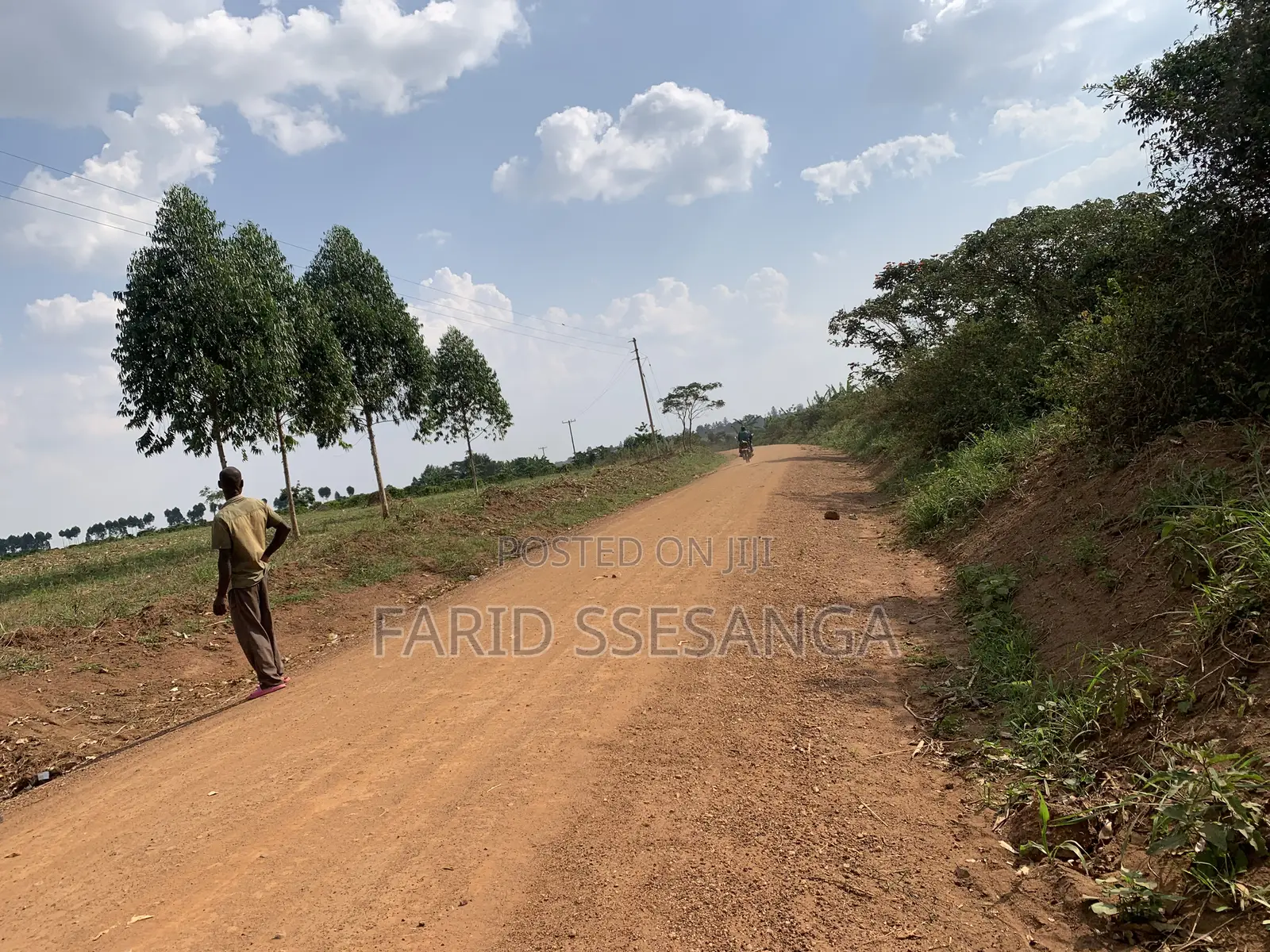 Farm Land for Sale