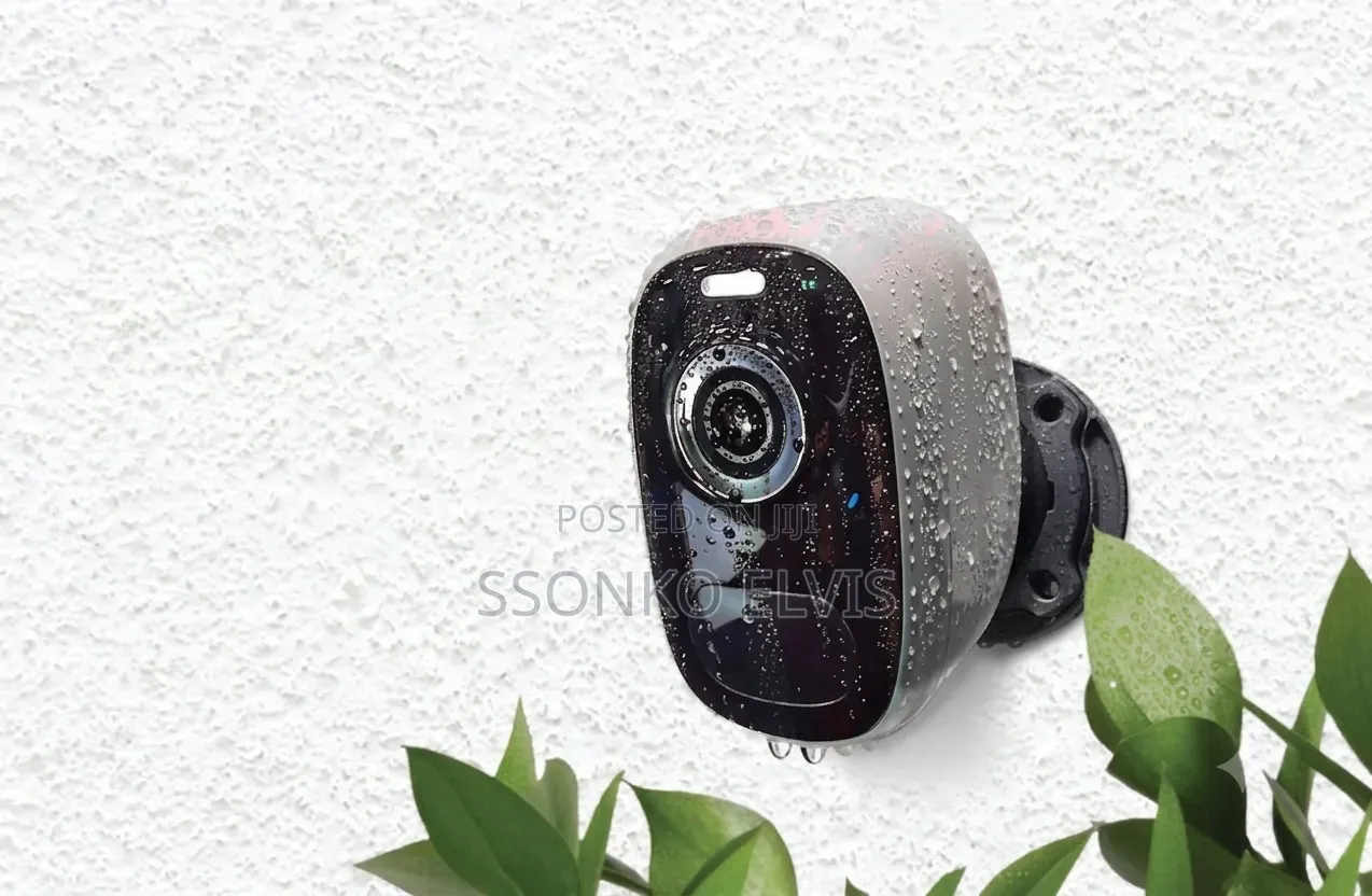 Outdoor/Indoor Cameras
