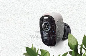 Outdoor/Indoor Cameras