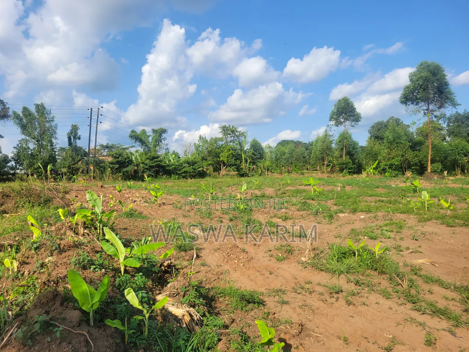 Plots for Sale at Namayumba Buwasa for 17m Each Negotiable