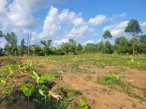 Plots for Sale at Namayumba Buwasa for 17m Each Negotiable