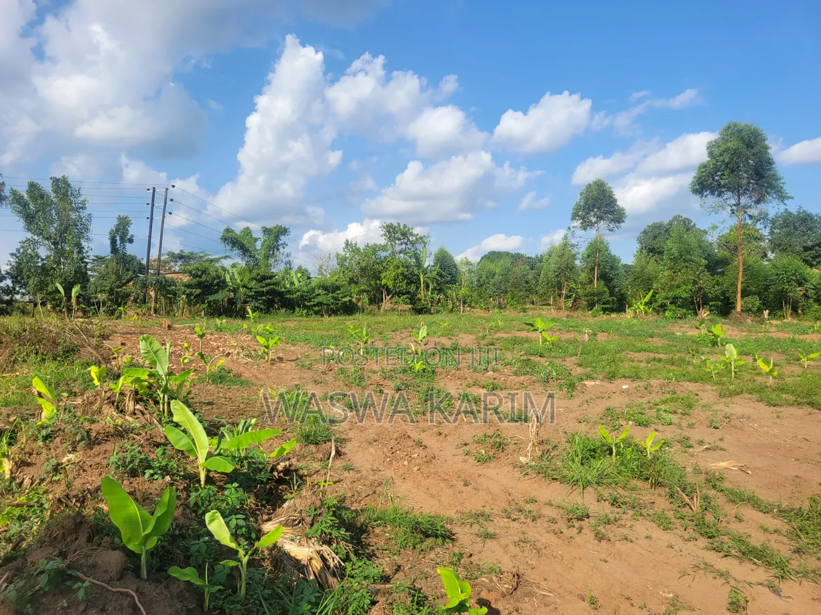 Plots for Sale at Namayumba Buwasa for 17m Each Negotiable