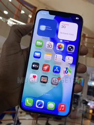 Apple iPhone 12 Pro Max 256 GB Gold
