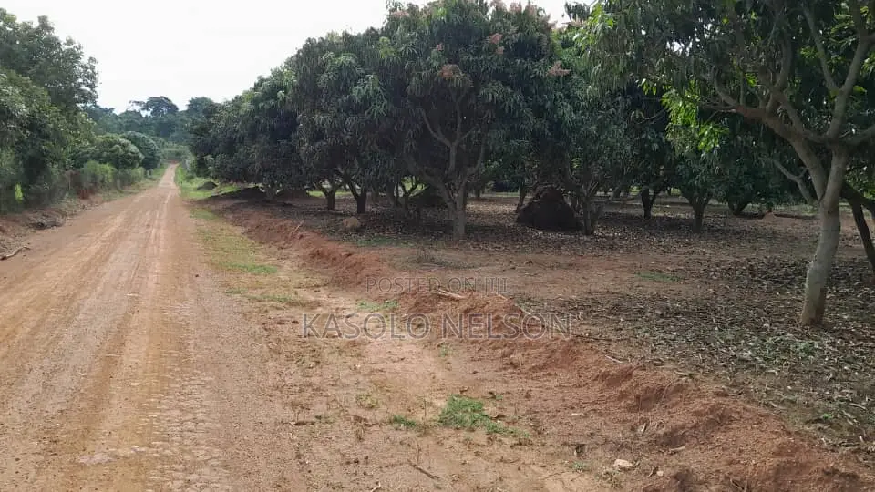 Garuga Land for Sale