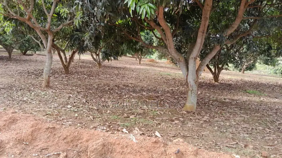 Garuga Land for Sale