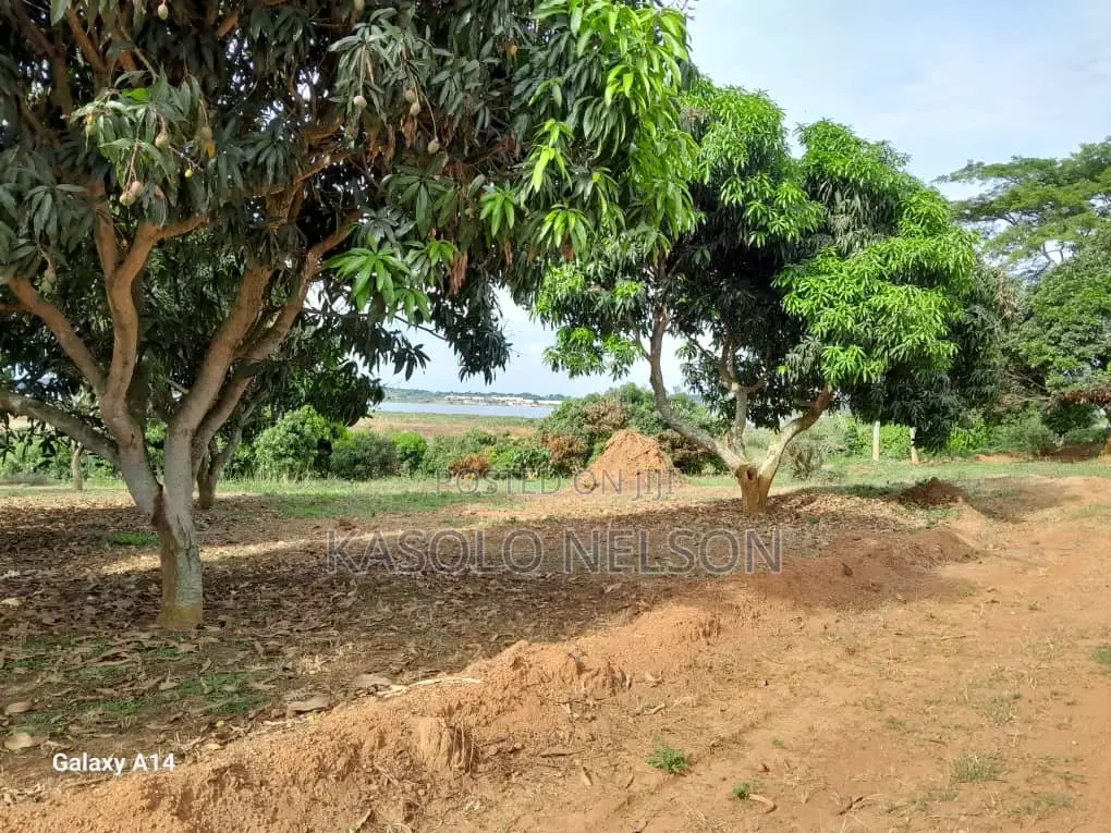 Garuga Land for Sale