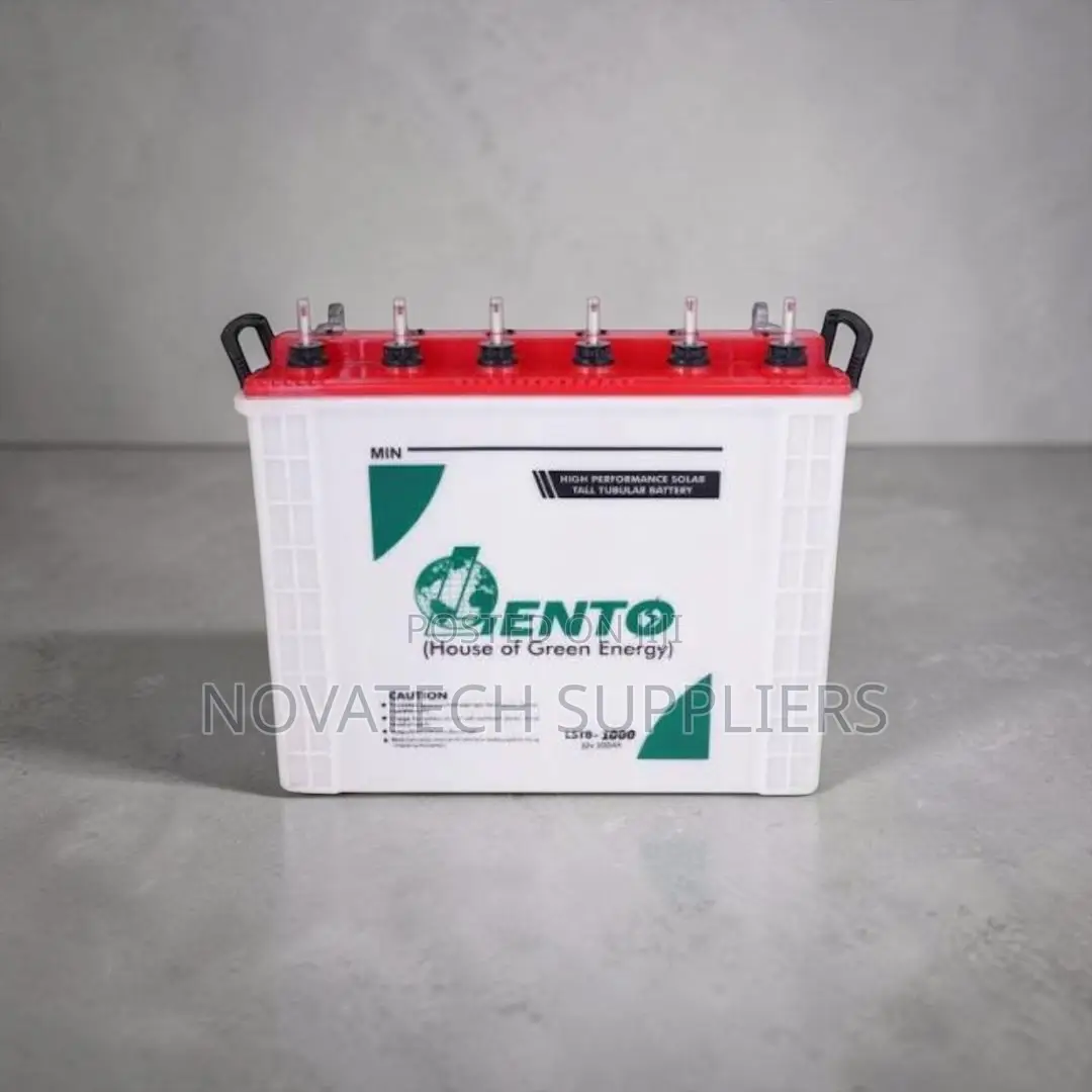 Heavy Duty Lento 200Ah 12V Tubular Battery for Solar Systems