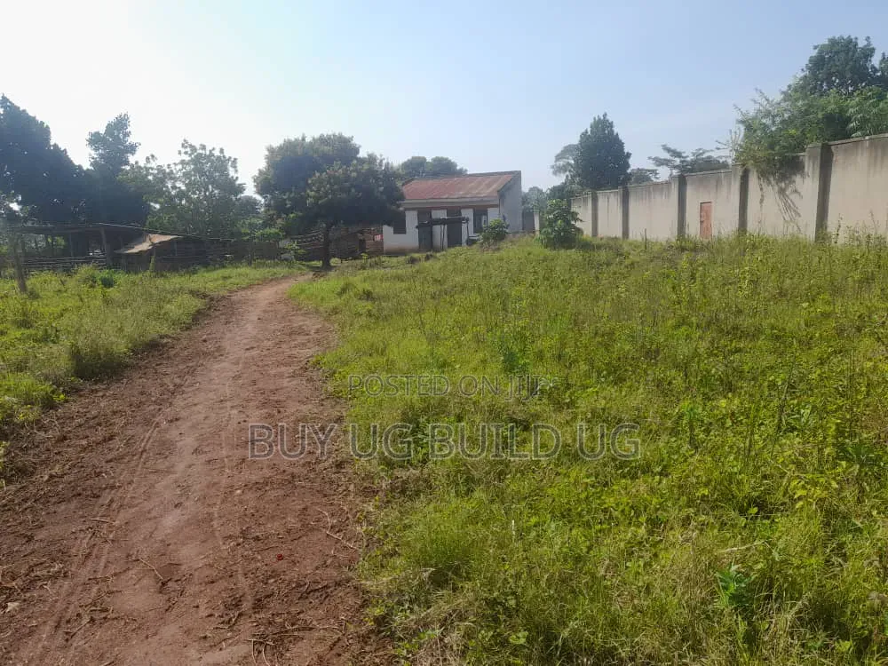One Acre and Half Acre Title Location Busiika Kakoni All 155m