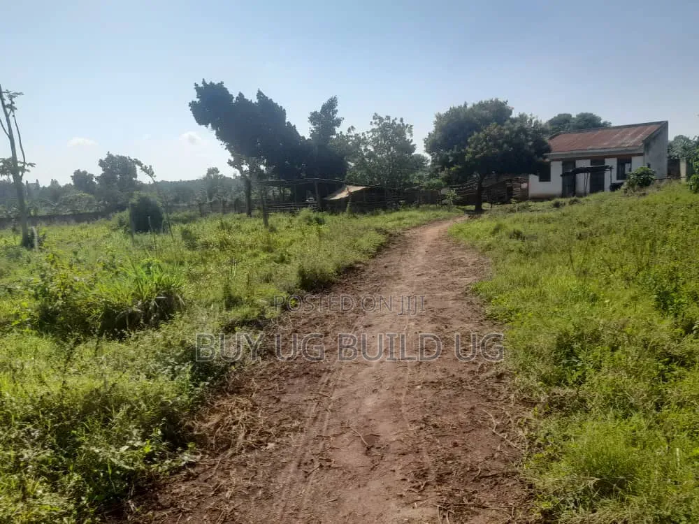 One Acre and Half Acre Title Location Busiika Kakoni All 155m