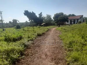 One Acre and Half Acre Title Location Busiika Kakoni All 155m