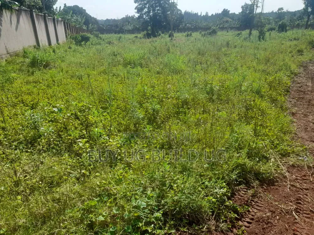 One Acre and Half Acre Title Location Busiika Kakoni All 155m