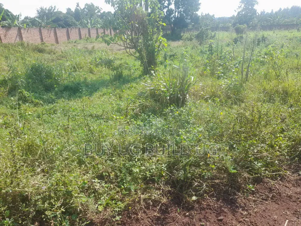 One Acre and Half Acre Title Location Busiika Kakoni All 155m